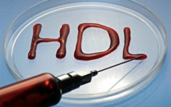 HDL-xolisterini