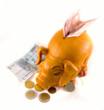 bankpigg