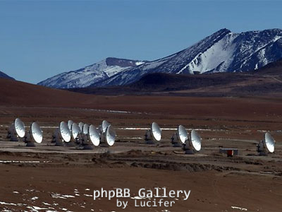 alma